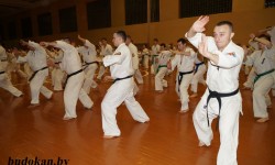 Тренировки и сборы