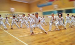 Каратэ кекусинакай для подростков