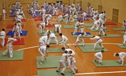 Тренировки каратэ подростки