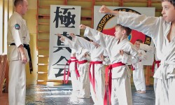 Каратэ кекусинкай для детей